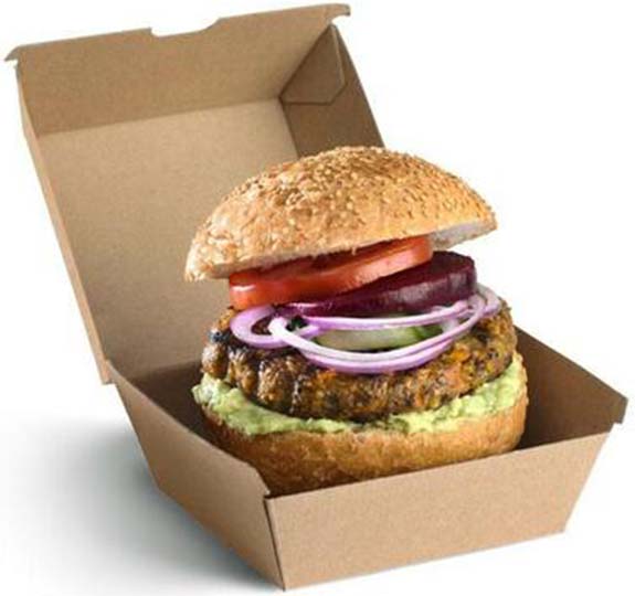 Burger & Fries Medium Box 1x500